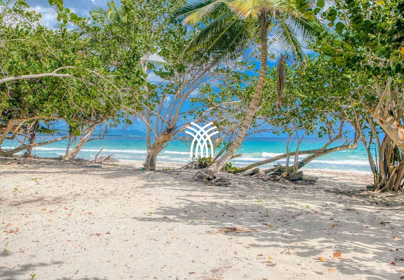 Villa in Le Diamant - Sand Beach