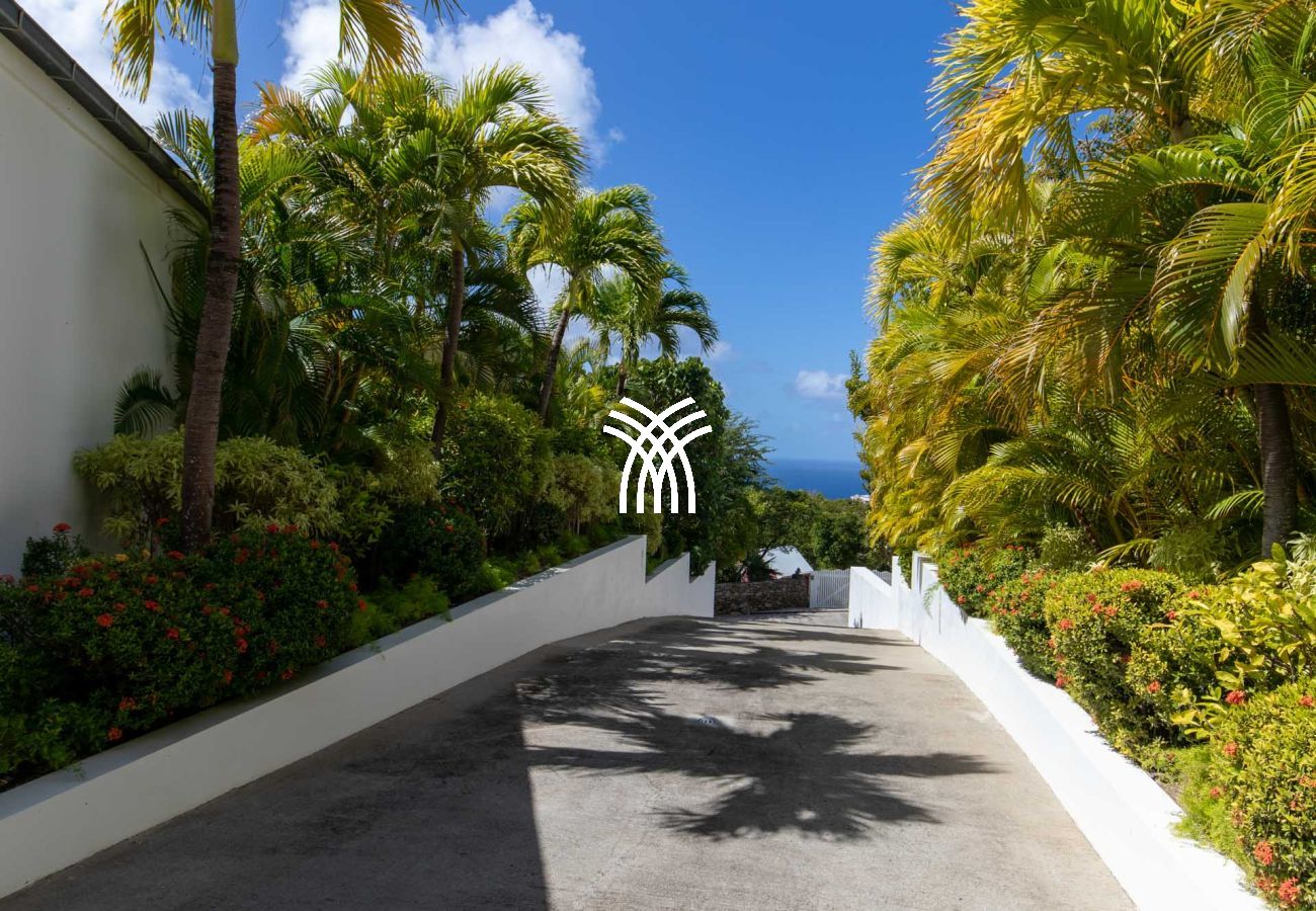 Villa in Saint Barthélemy - Bellissima