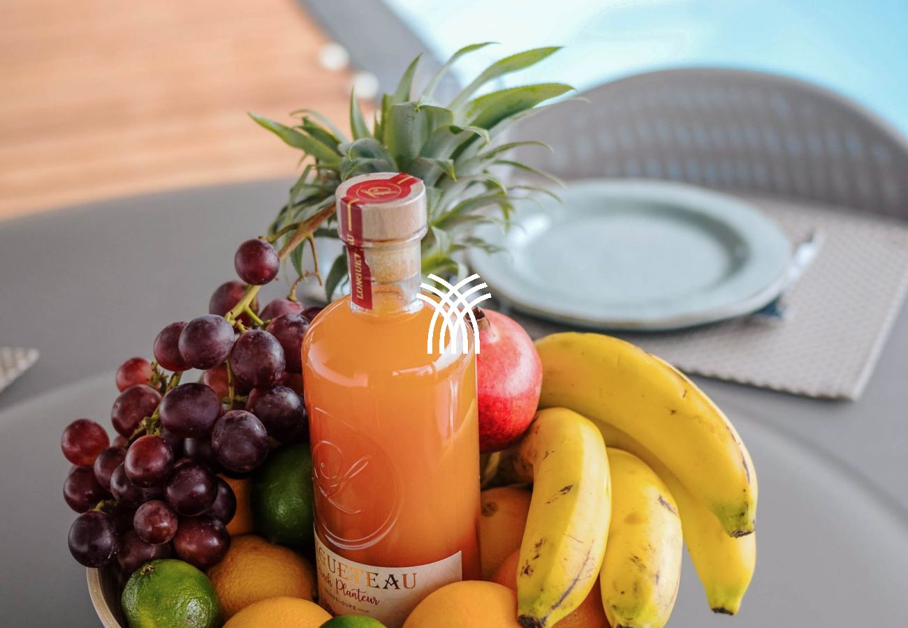 Villa in Sainte-Anne - Azur ****