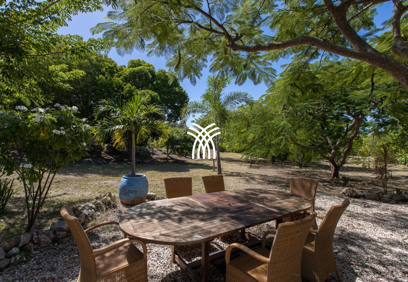 Villa in Terres Basses - Les Oliviers