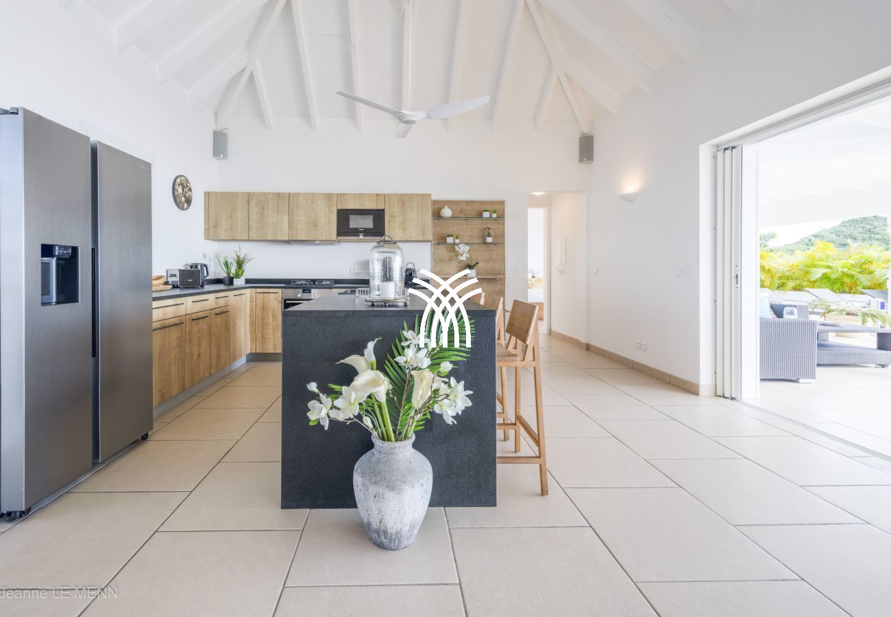 Villa in Saint Barthélemy - Cactus