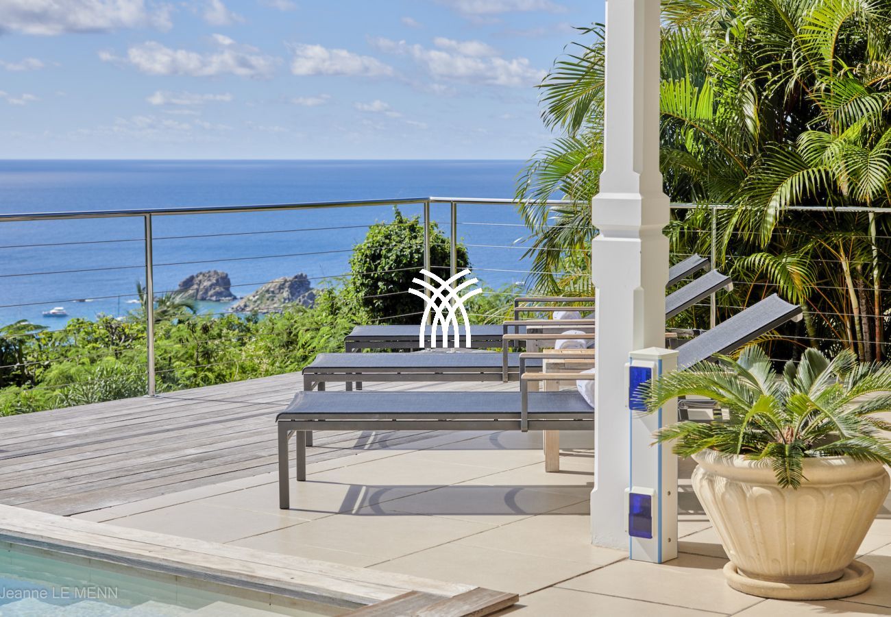 Villa in Saint Barthélemy - Cactus