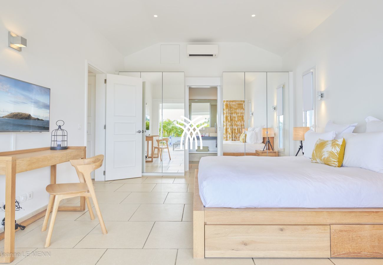 Villa in Saint Barthélemy - Cactus