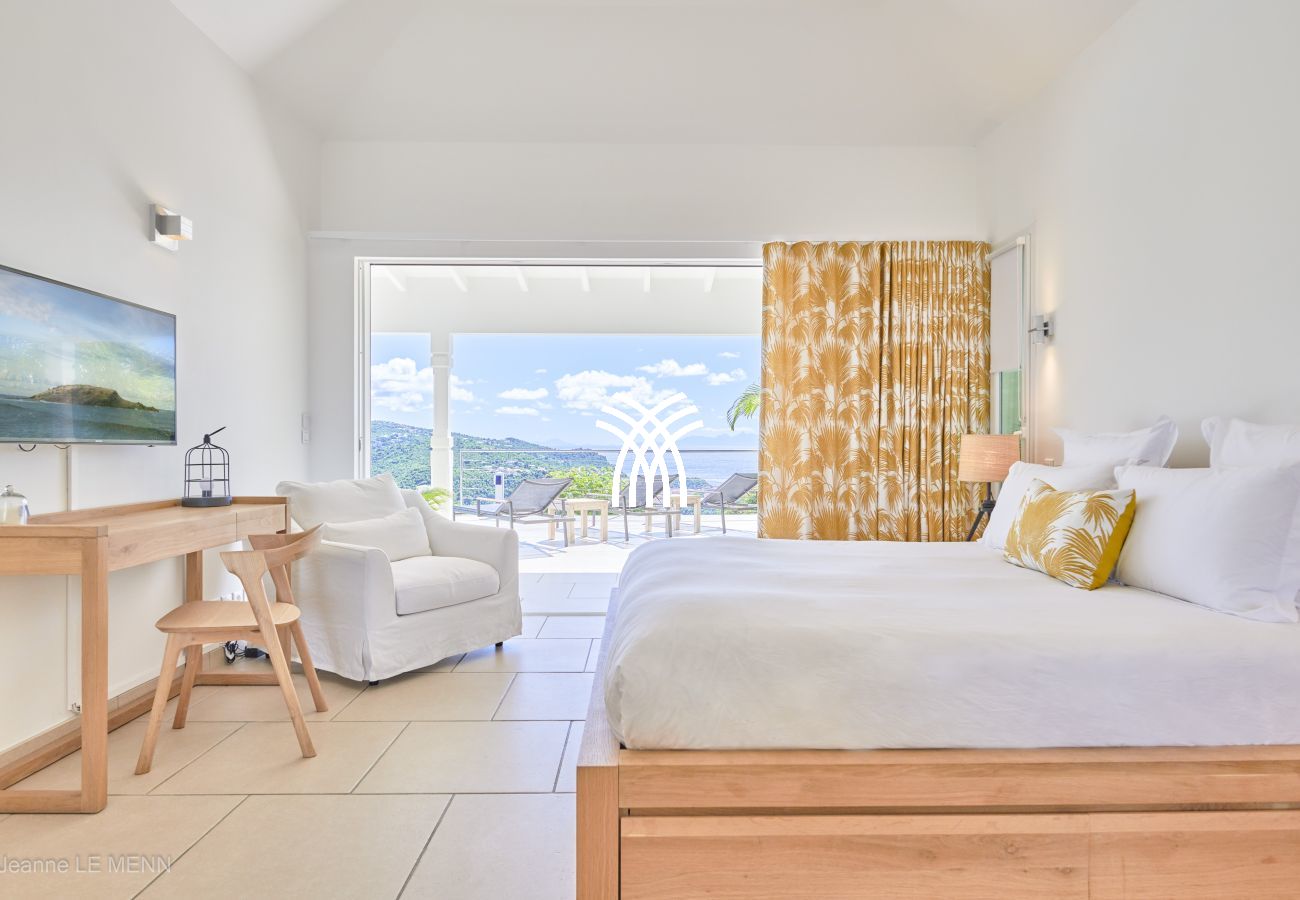 Villa in Saint Barthélemy - Cactus