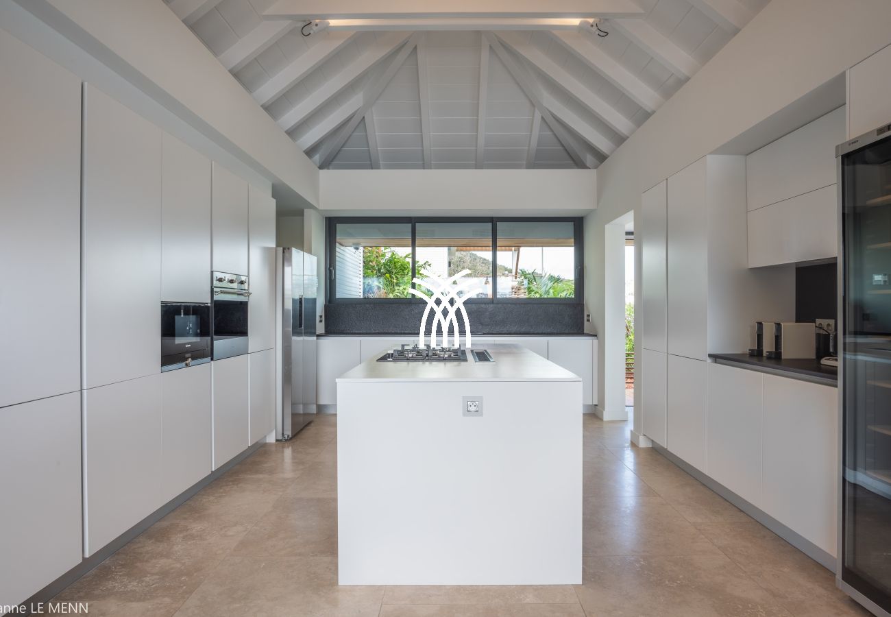 Villa in Saint Barthélemy - Firefly