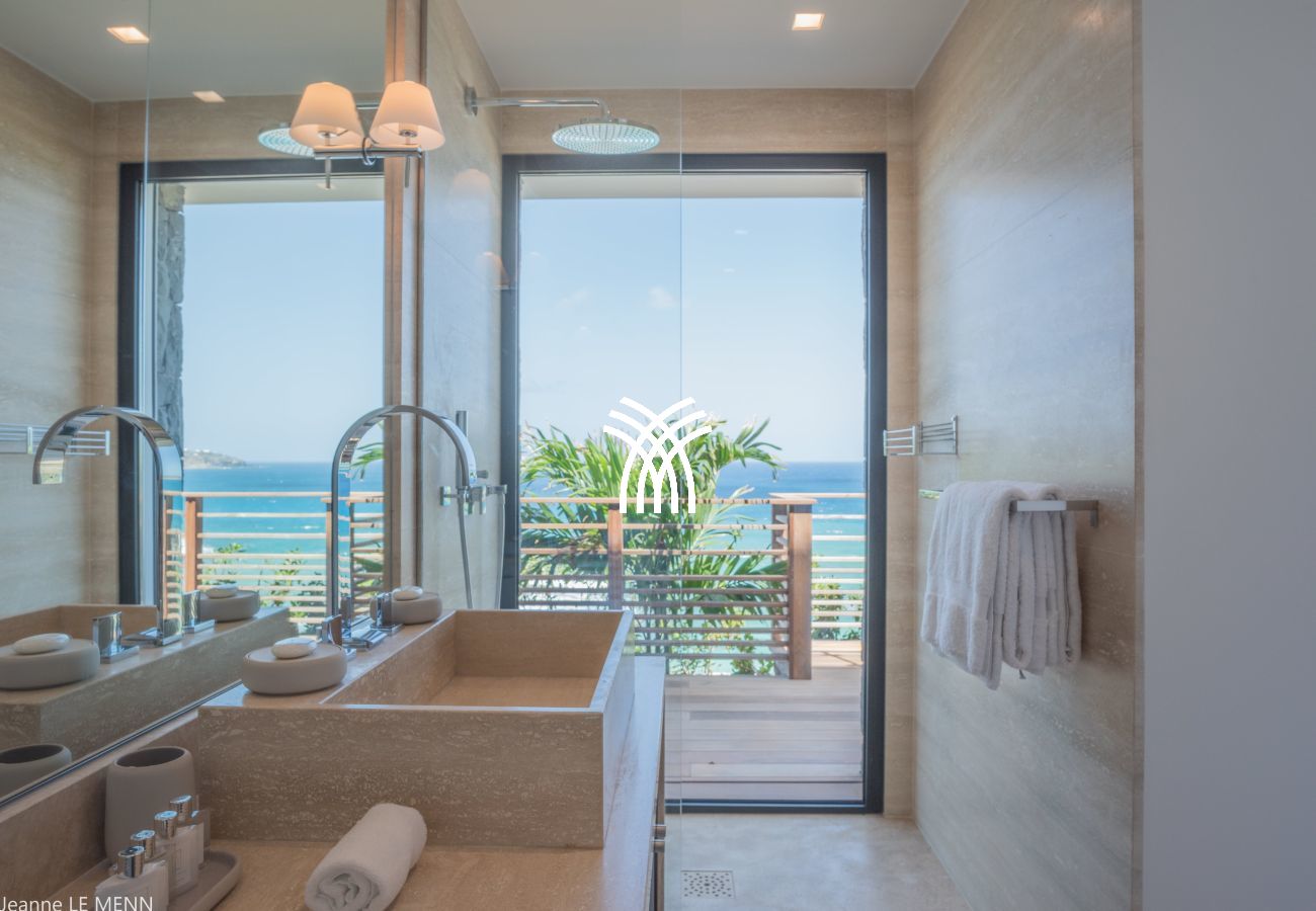 Villa in Saint Barthélemy - Firefly