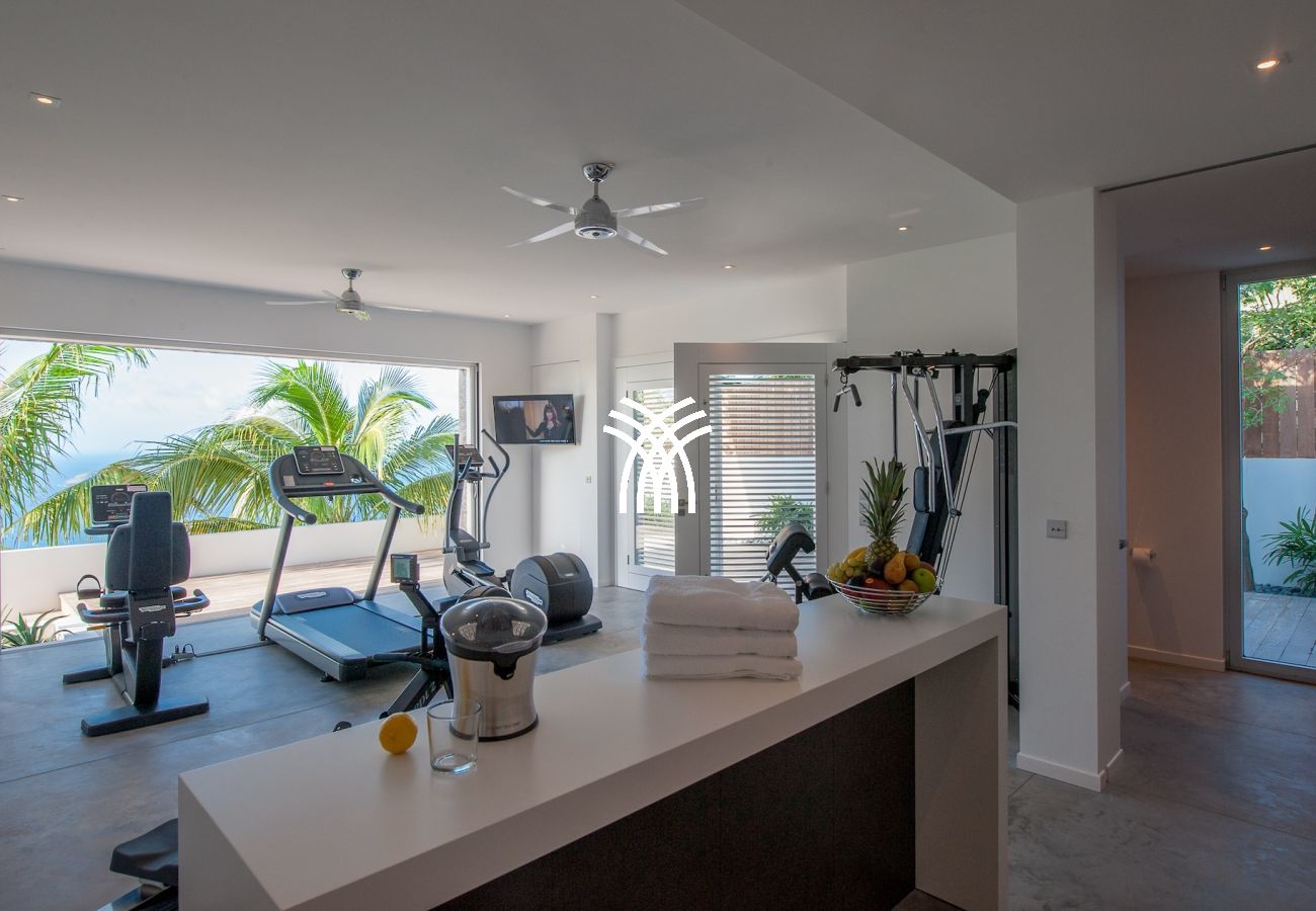 Villa in Saint Barthélemy - Ginger