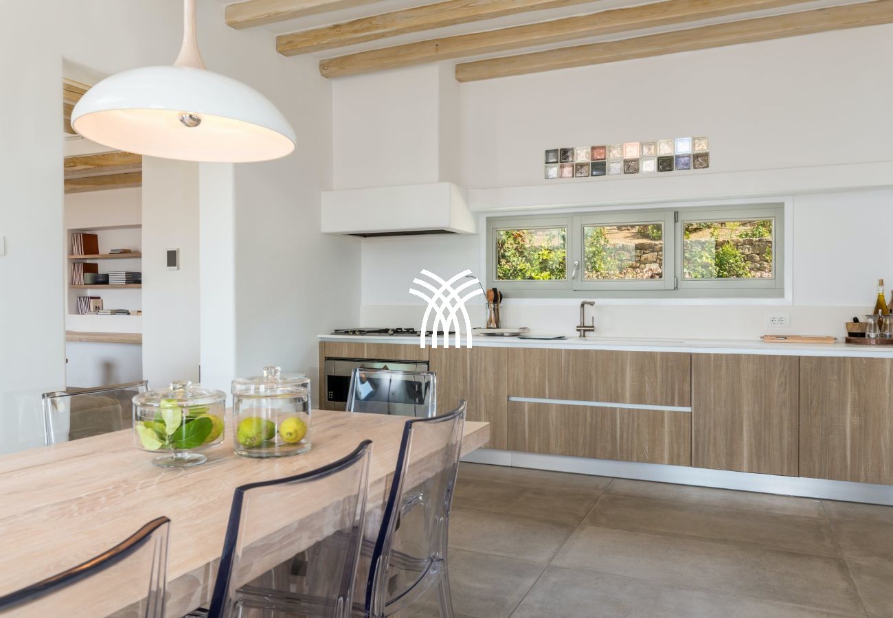 Villa in Mykonos - Delano