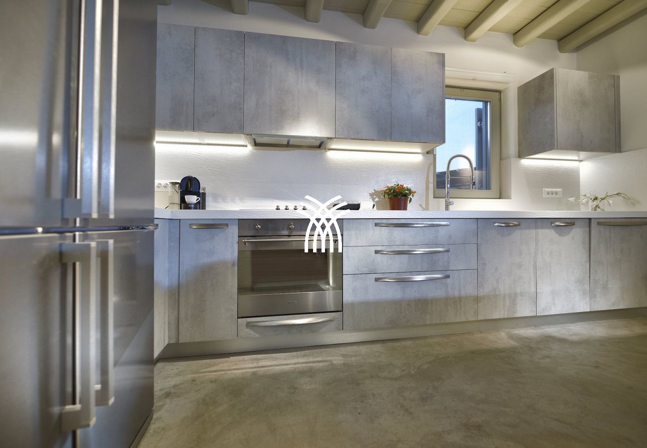 Villa in Mykonos - Elia View