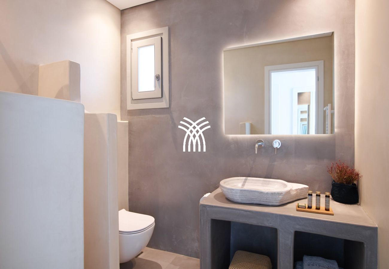 Villa in Mykonos - Demeter