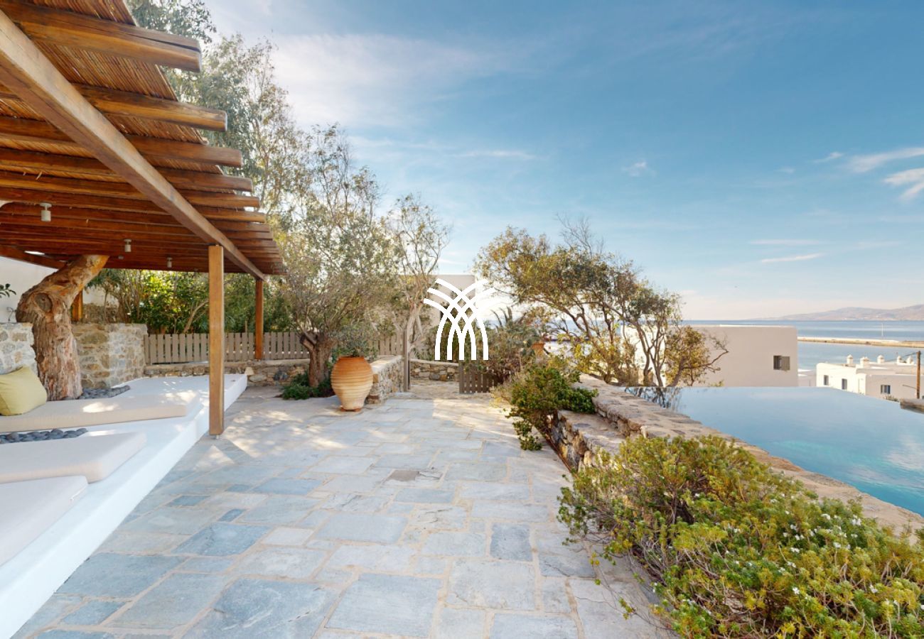 Villa in Mykonos - Kipos