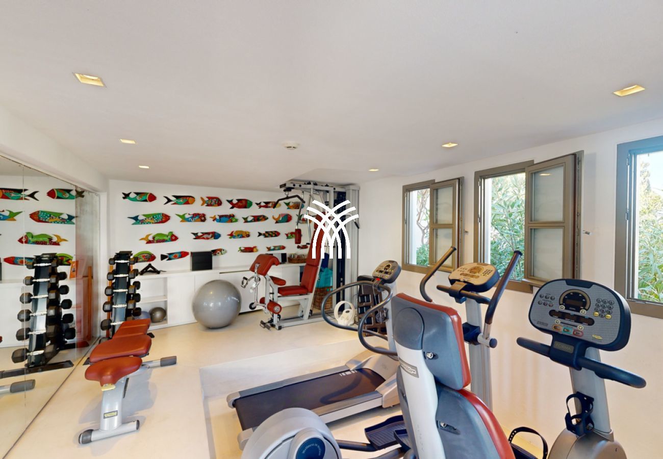 Villa in Mykonos - Kipos