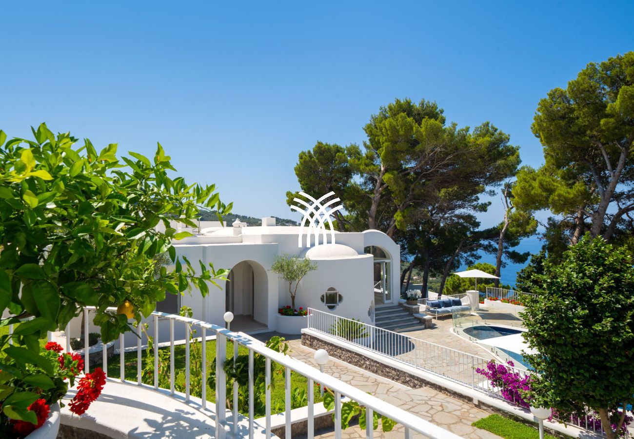 Villa in Anacapri - Giada