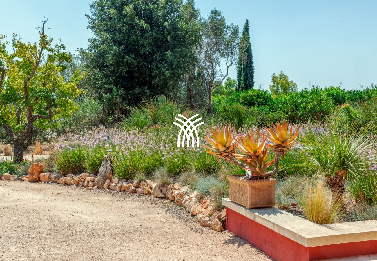 Villa in Novoli - CasinAnand