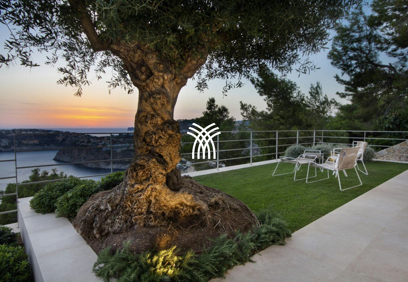 Villa in Port d' Andratx - Luz del Sol