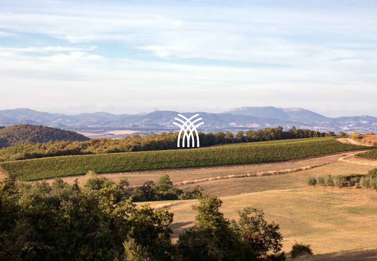 Villa in San Venanzo - Only One