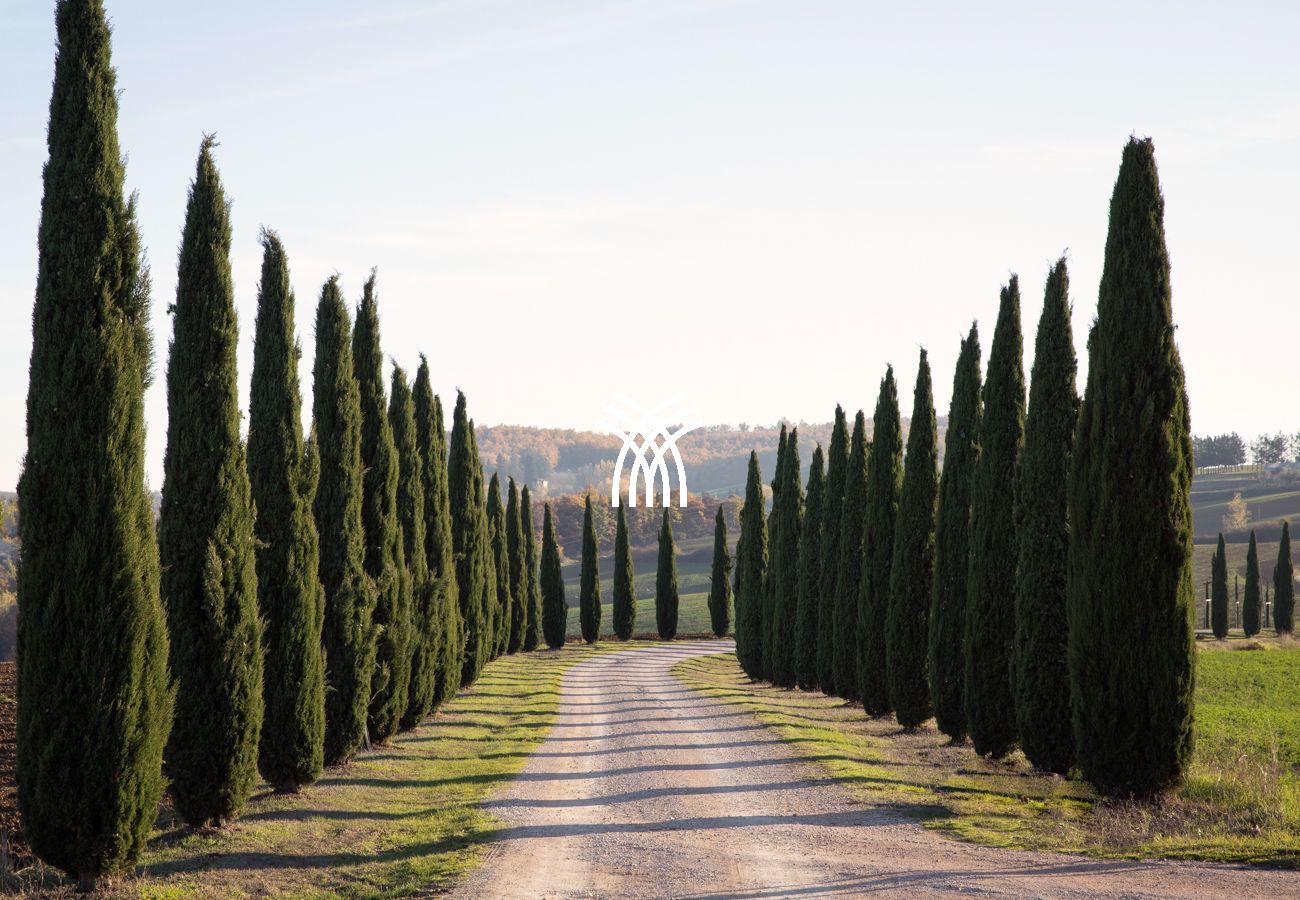 Villa in San Venanzo - Only One