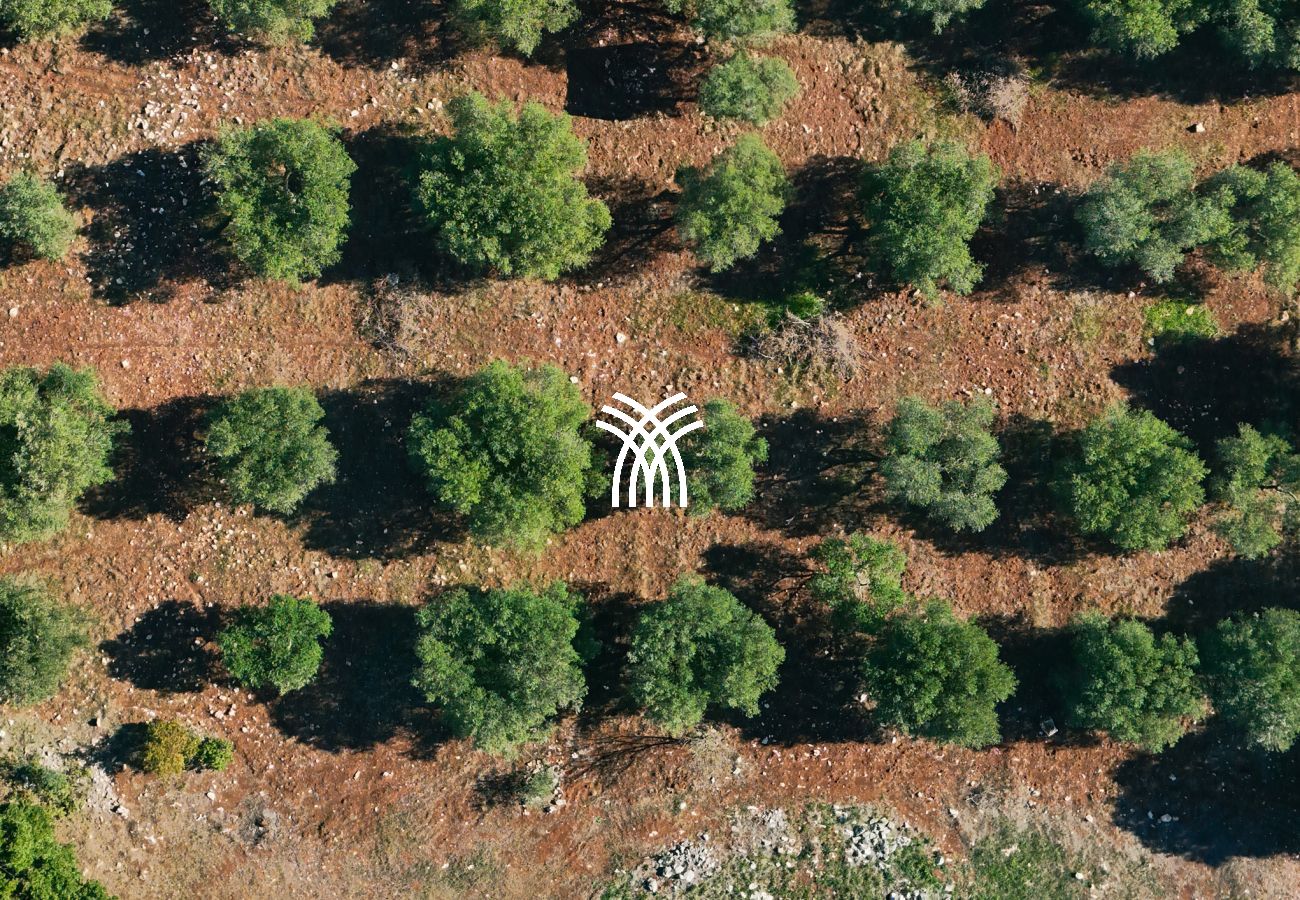 Villa in Ostuni - Qute