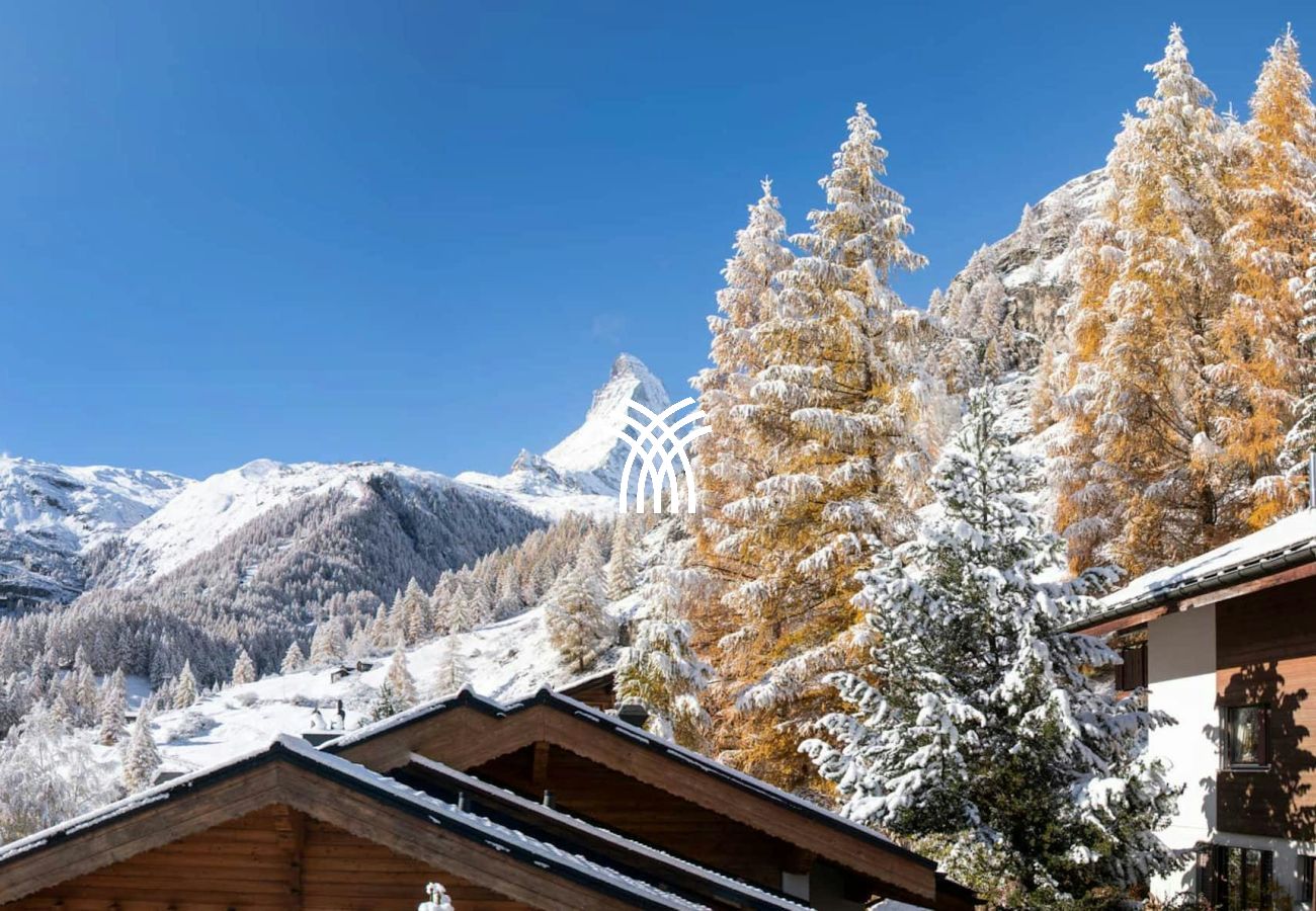 Chalet in Zermatt - Harebells