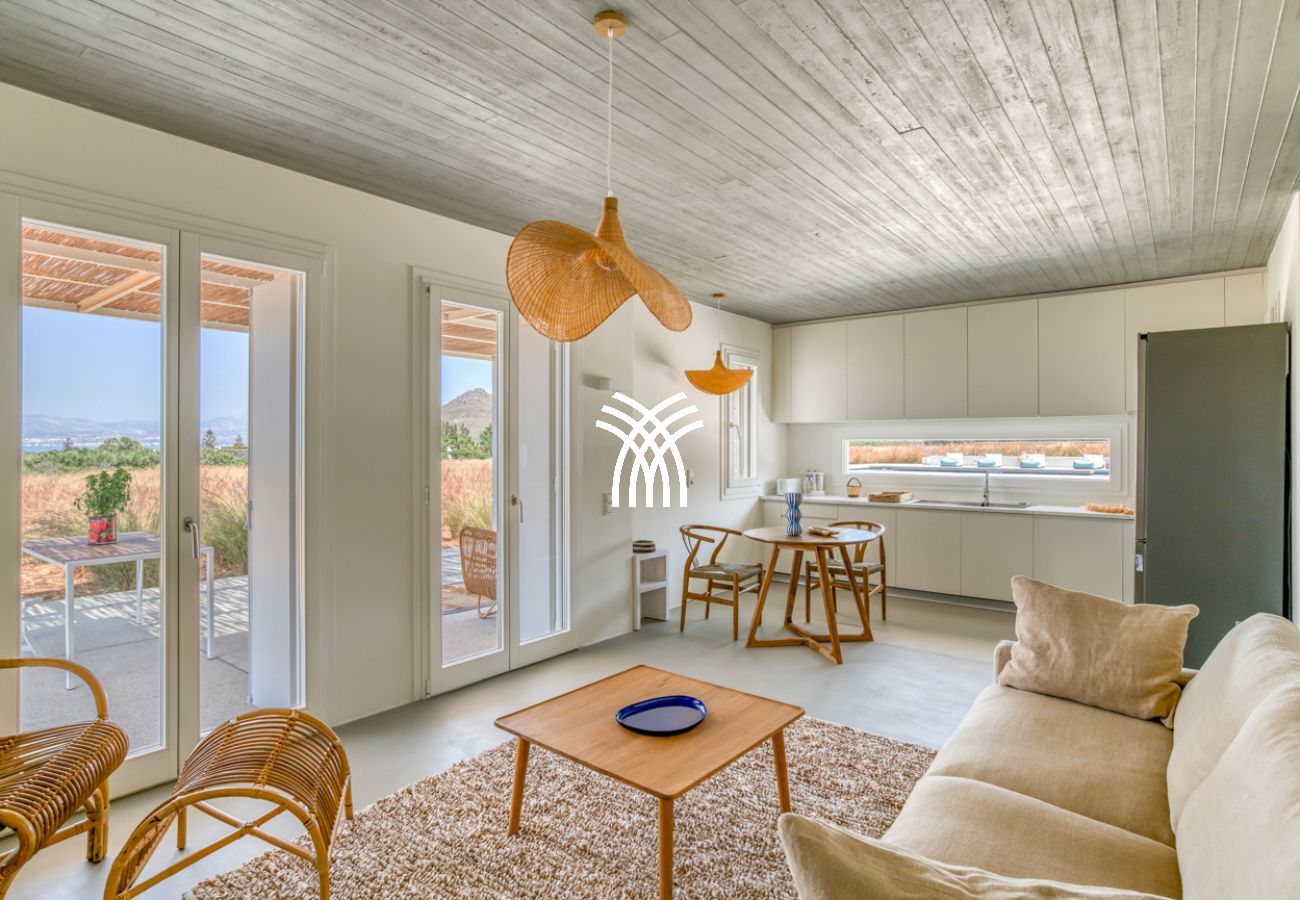 Villa in Paros - Lampsis