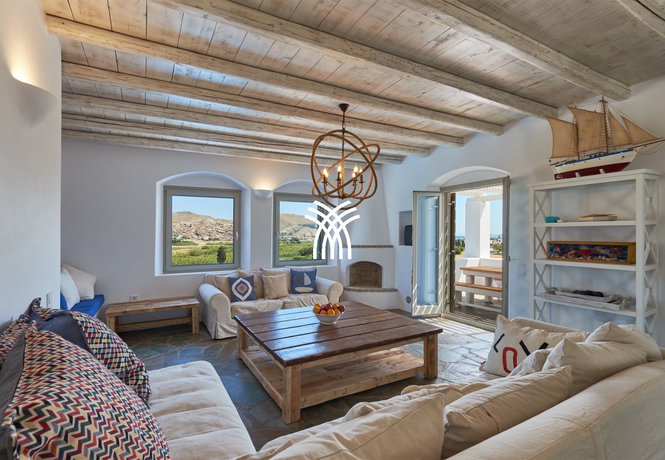 Villa in Naousa - Okyalos