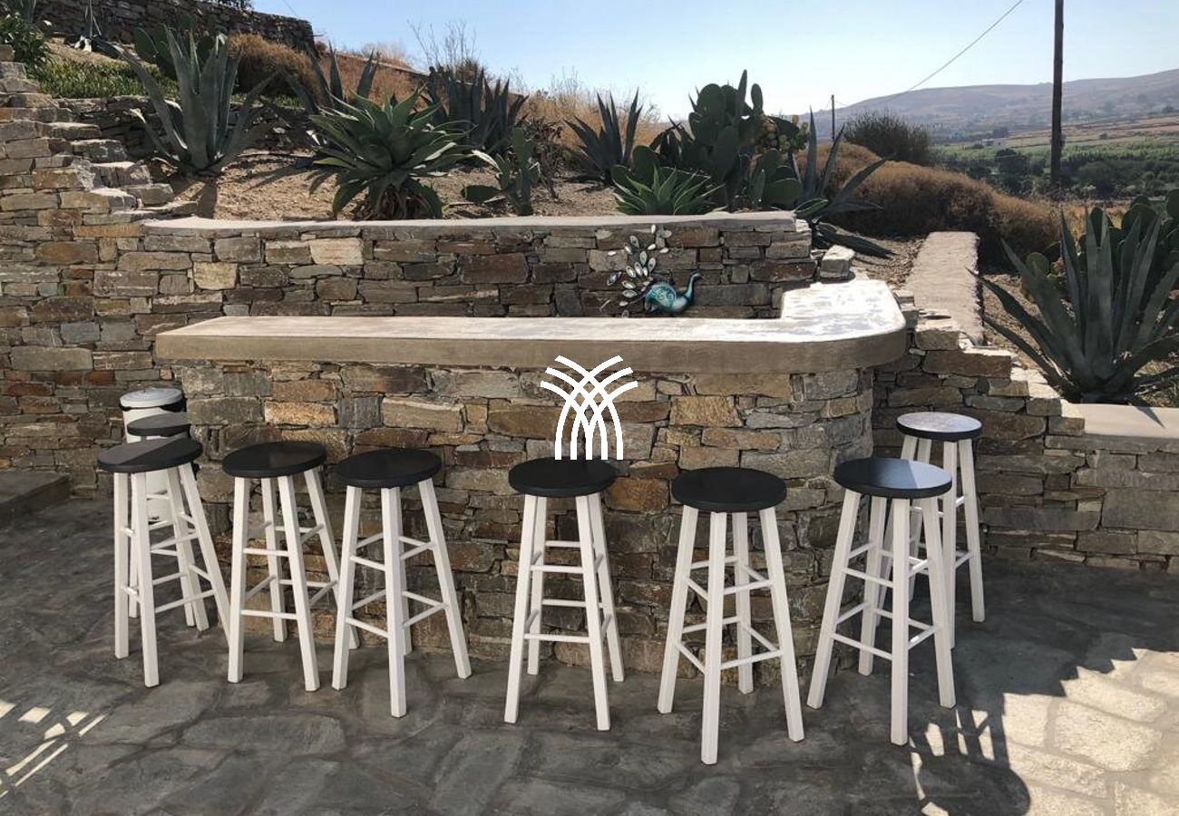 Villa in Naousa - Okyalos