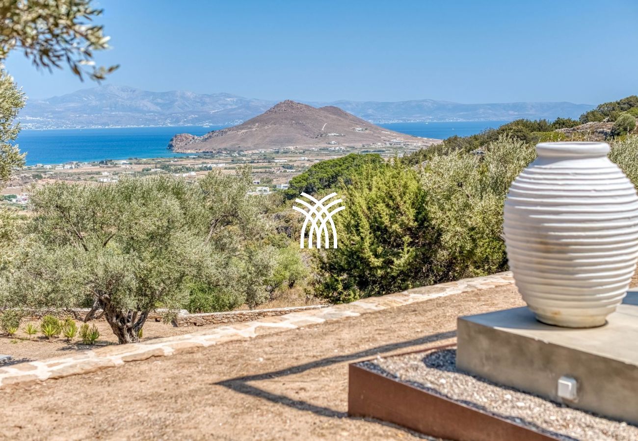 Villa in Parikia - Kryvo