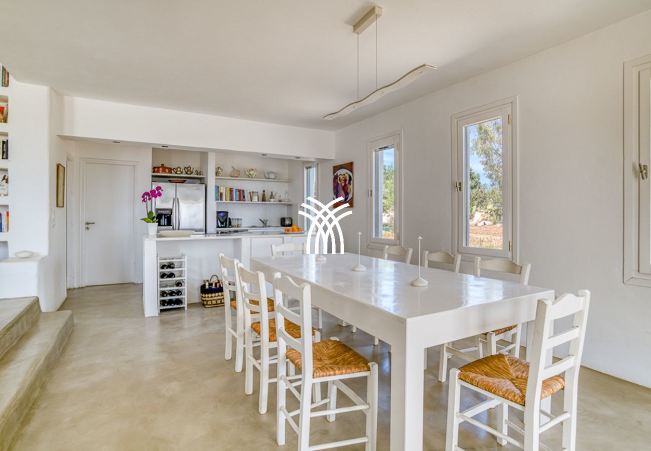 Villa in Parikia - Vivlio