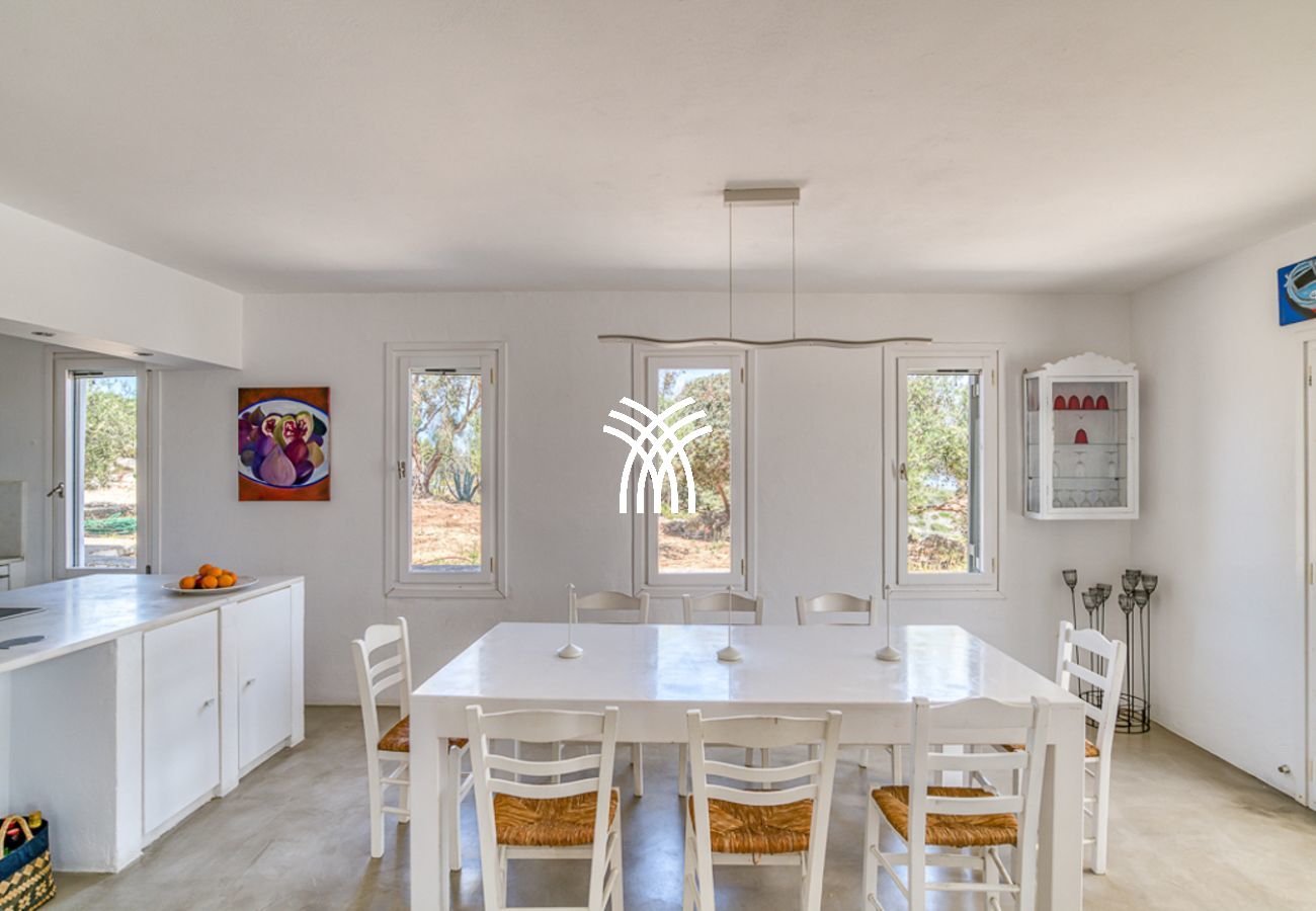 Villa in Parikia - Vivlio