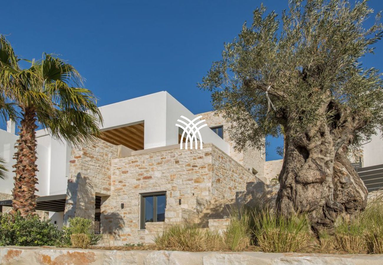 Villa in Parikia - Casa Aloe