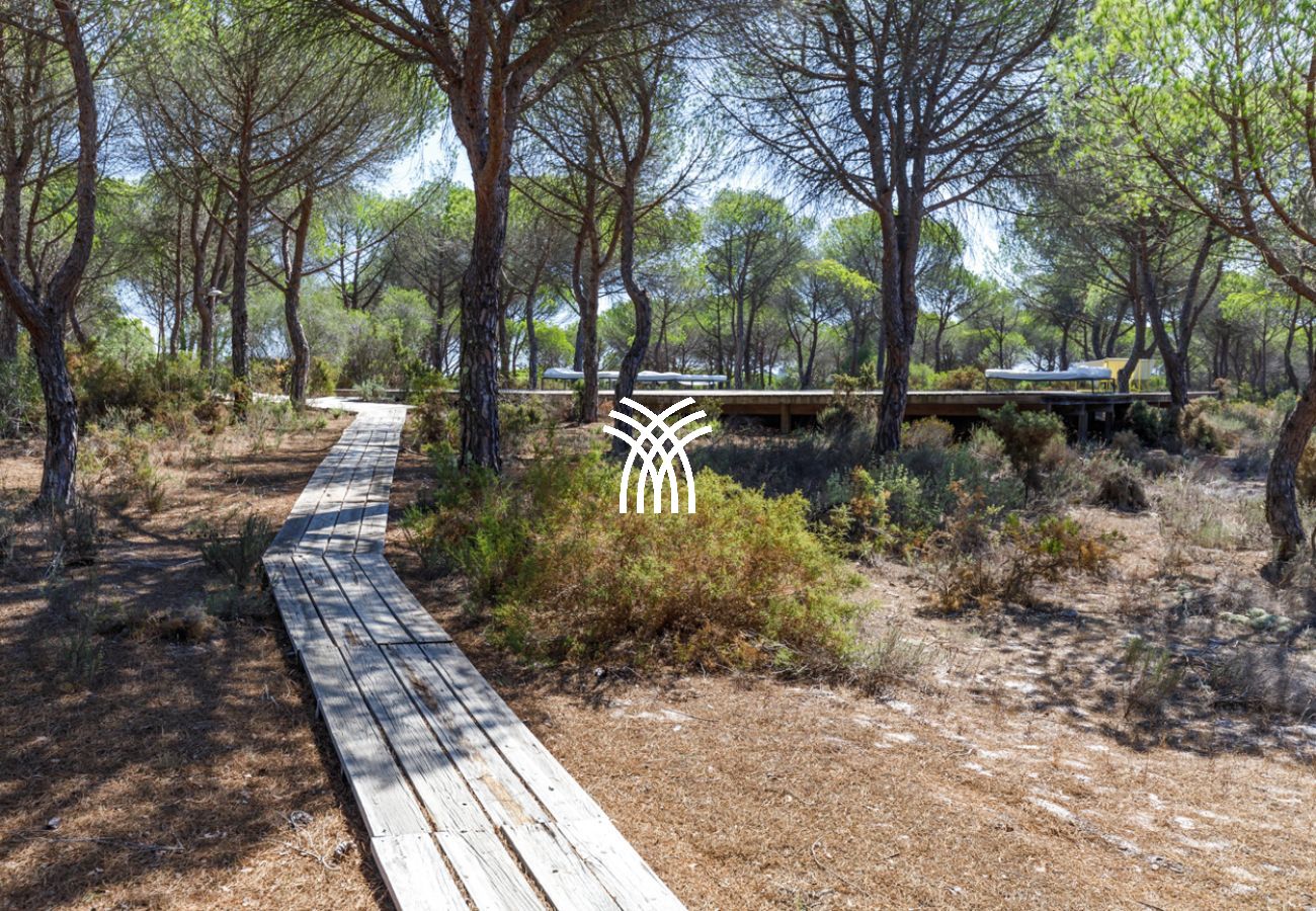 Villa in Comporta - Kimchi