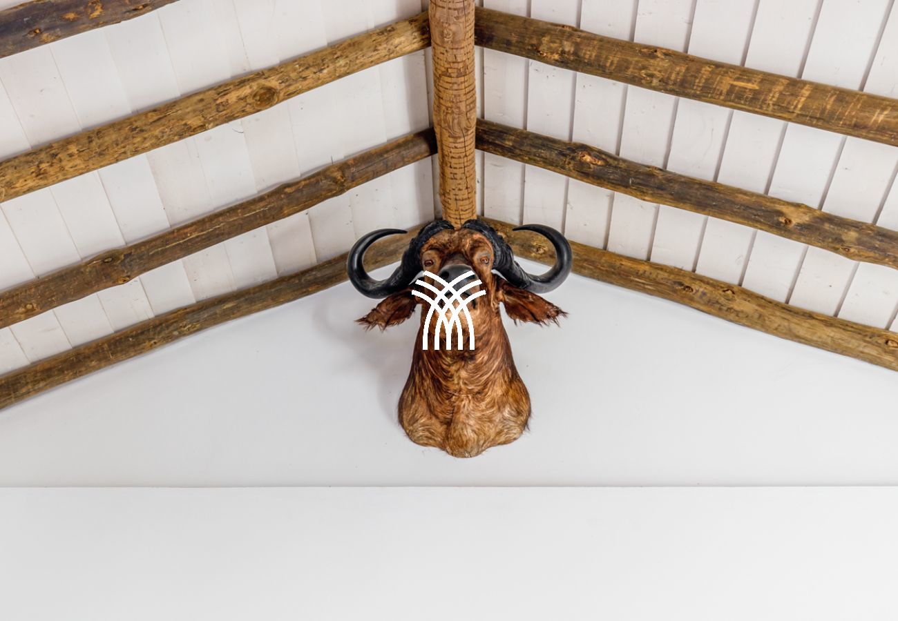 Villa in Comporta - Saffron