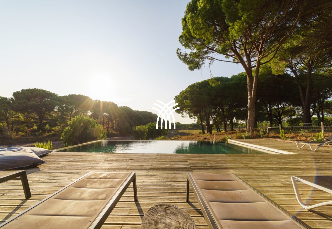 Villa in Comporta - Camellia