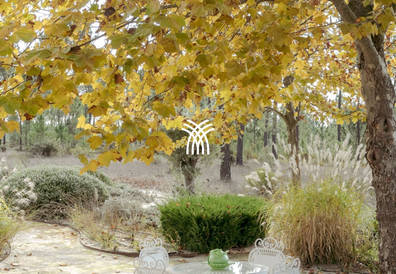 Villa in Comporta - Branca