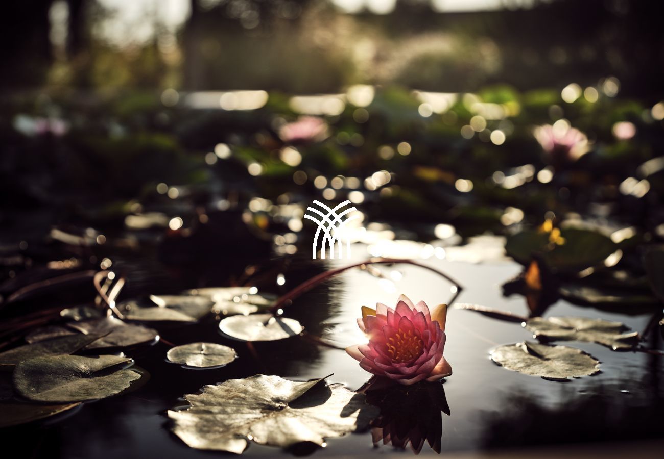 Villa in Tsilivi - Noufara