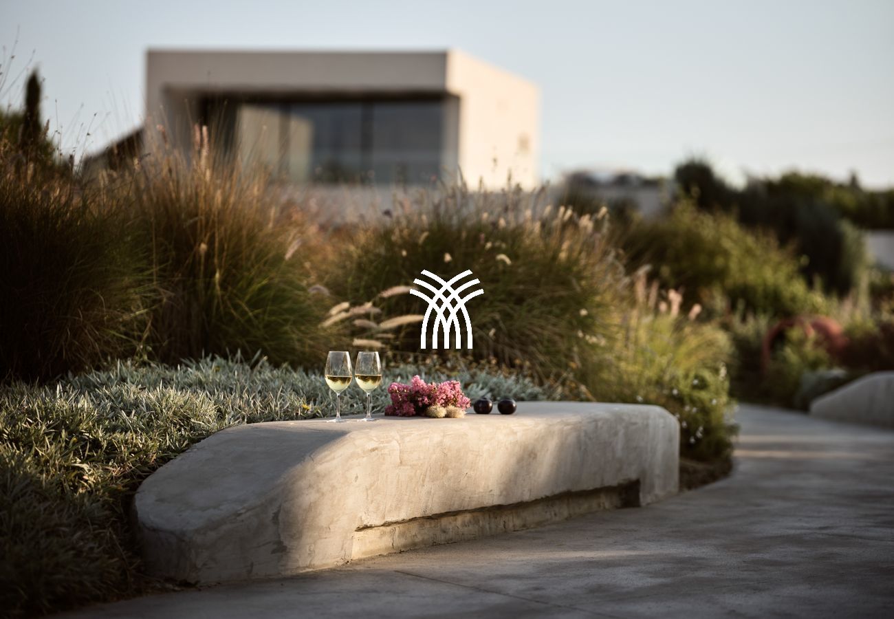 Villa in Tsilivi - Jasminia