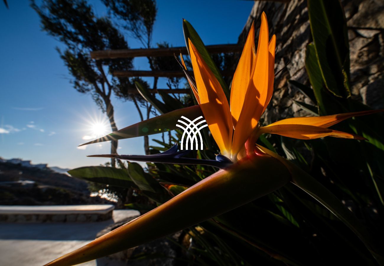 Villa in Mykonos - Deloxenia