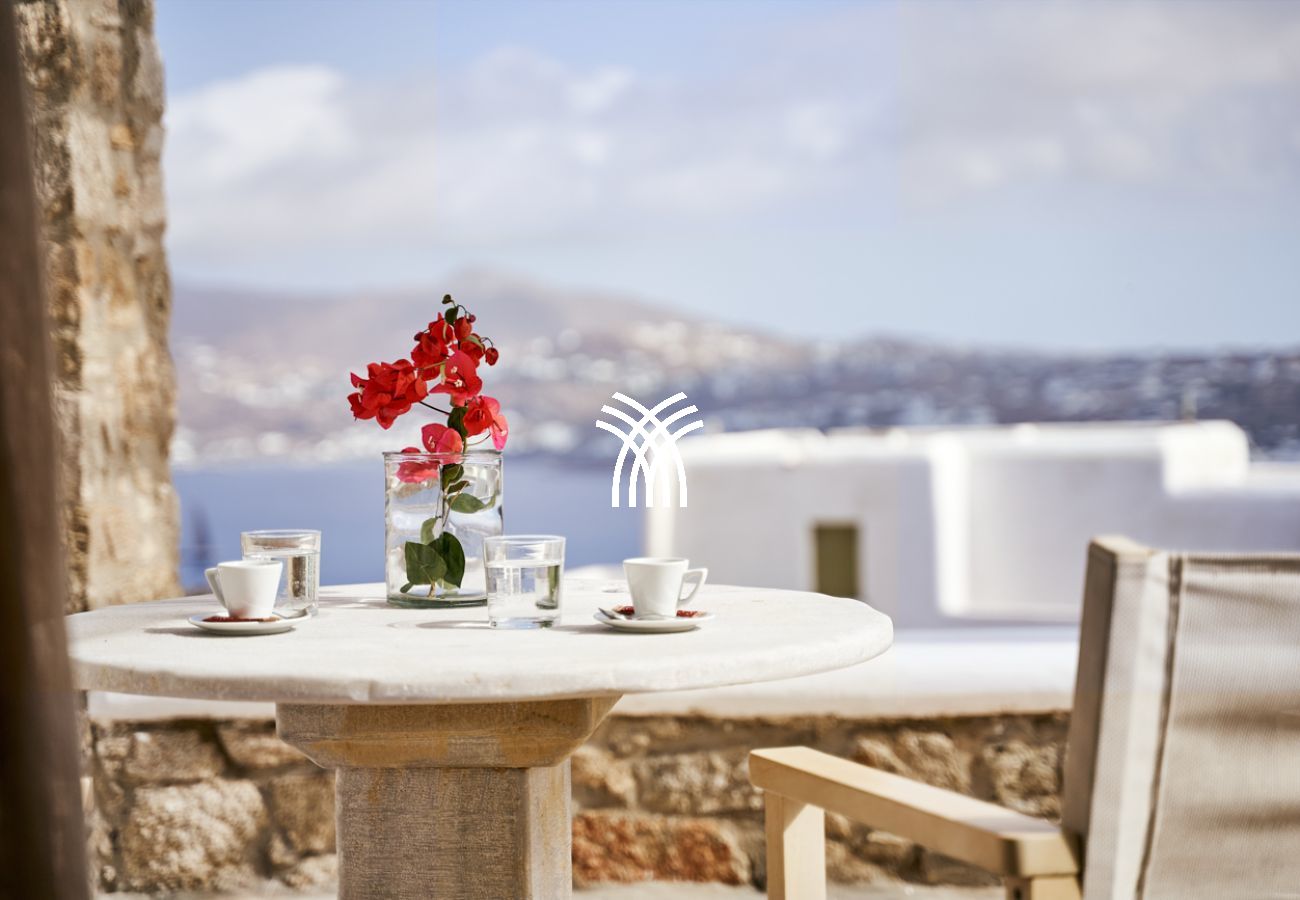 Villa in Mykonos - Petrolefko