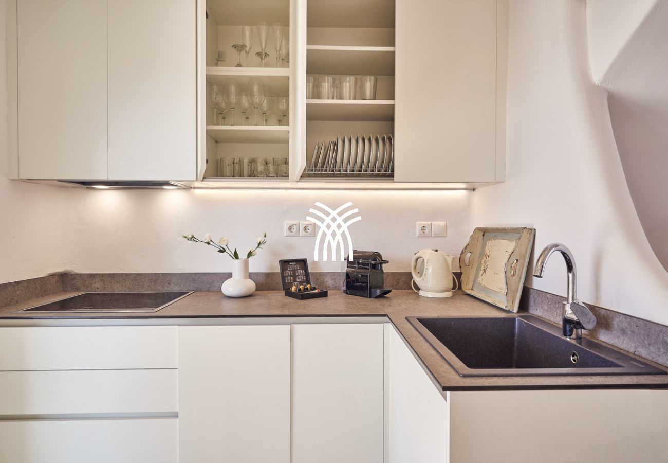 Villa in Mykonos - Petrolefko