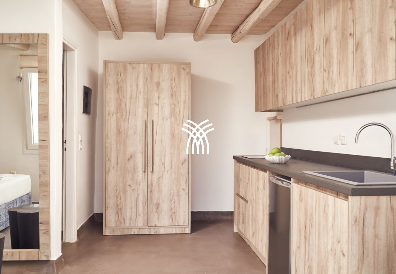 Villa in Mykonos - Petrolefko