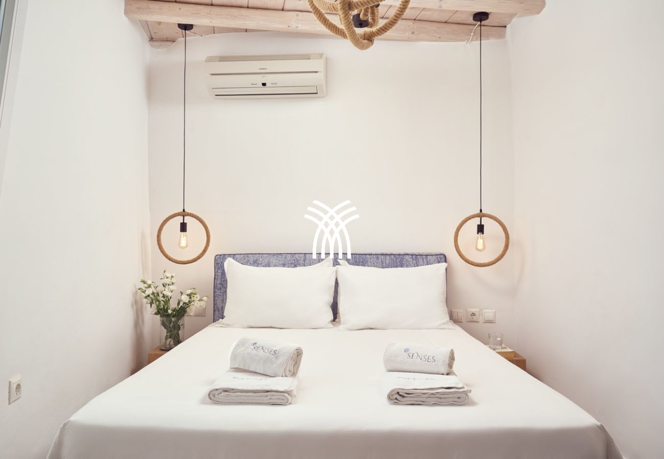 Villa in Mykonos - Petrolefko