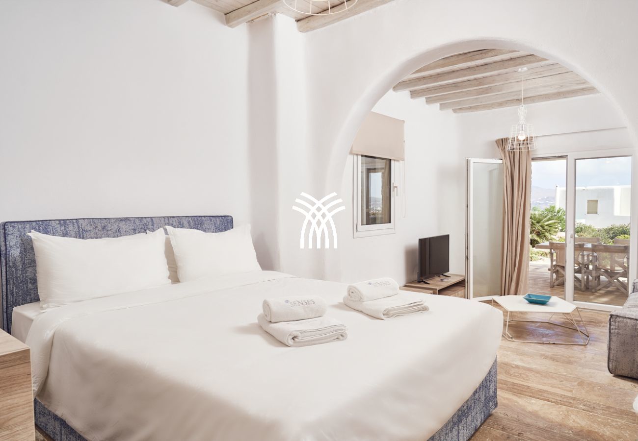 Villa in Mykonos - Petrolefko