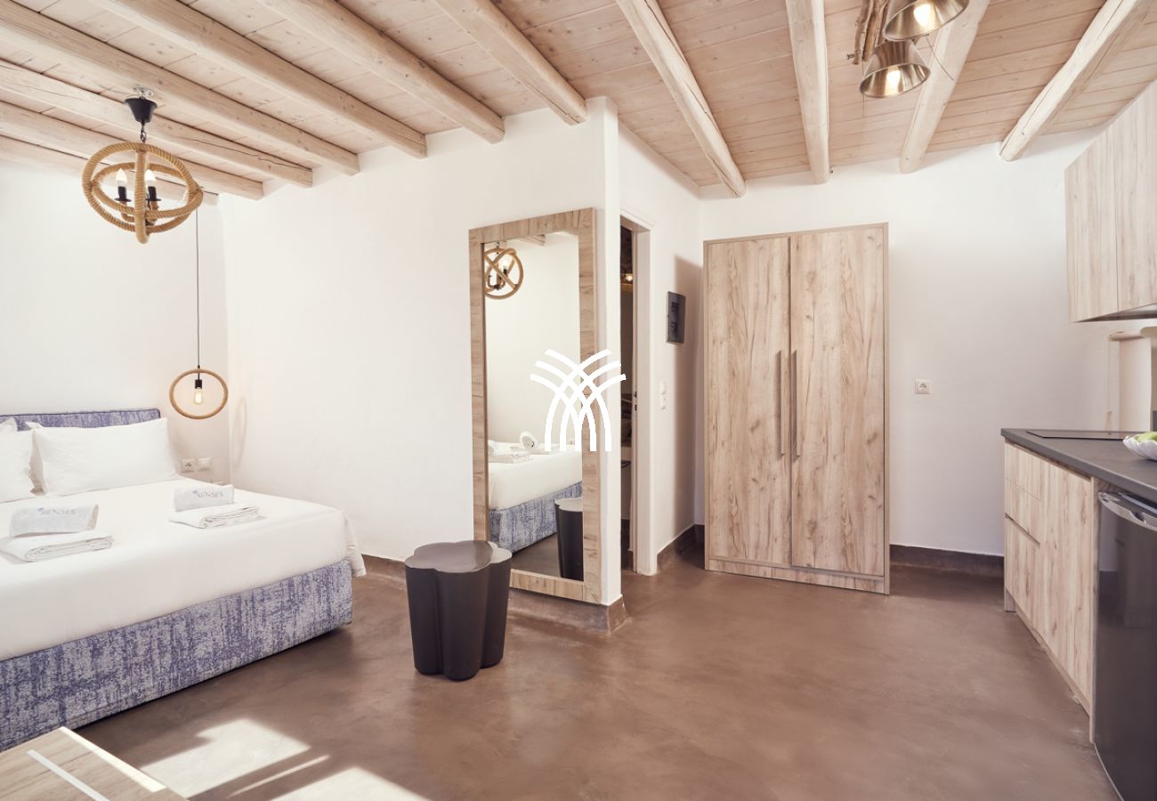 Villa in Mykonos - Petrolefko