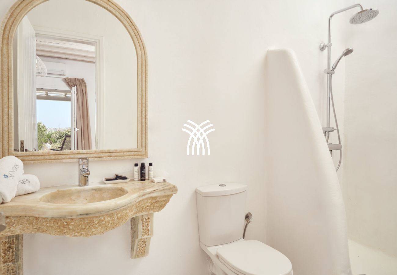 Villa in Mykonos - Petrolefko