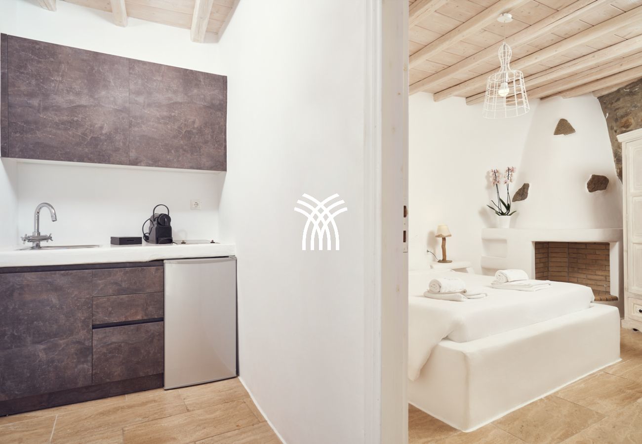 Villa in Mykonos - Petrolefko