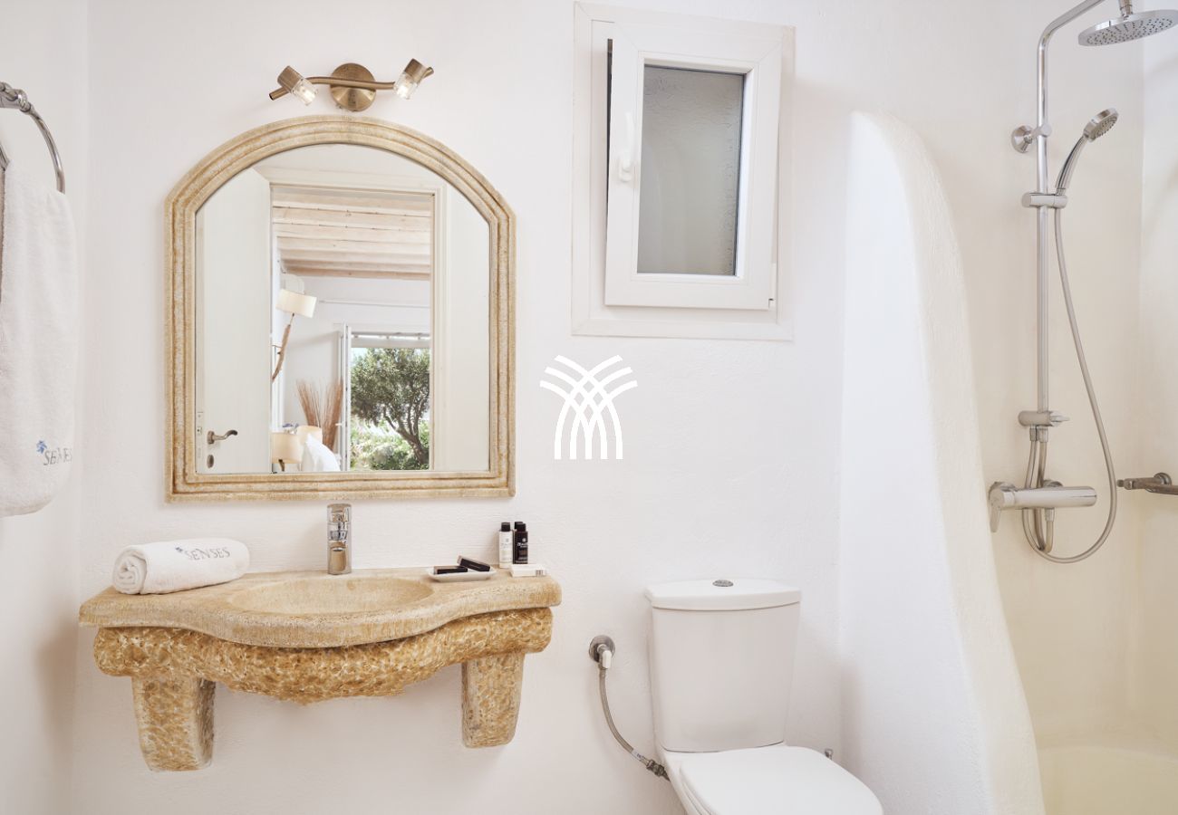 Villa in Mykonos - Petrolefko