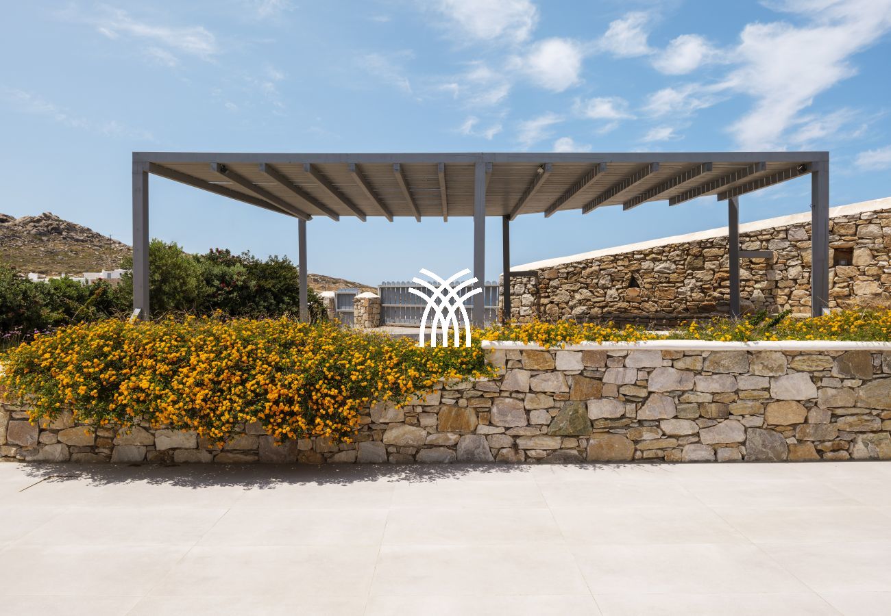 Villa in Mykonos - Oasis M