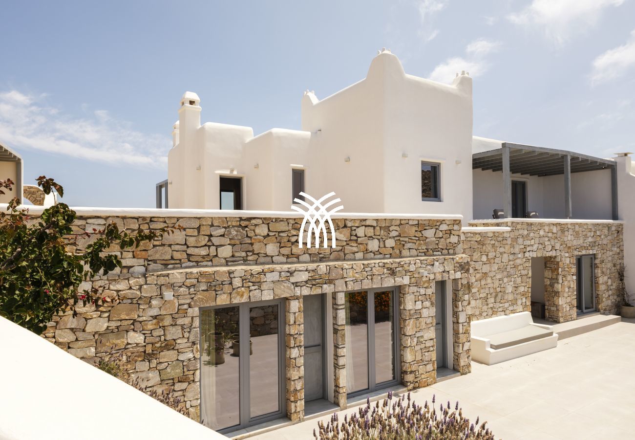 Villa in Mykonos - Oasis M