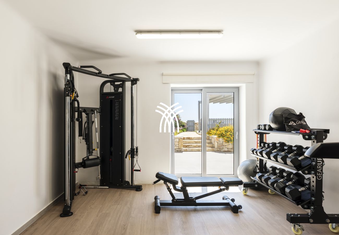 Villa in Mykonos - Oasis M