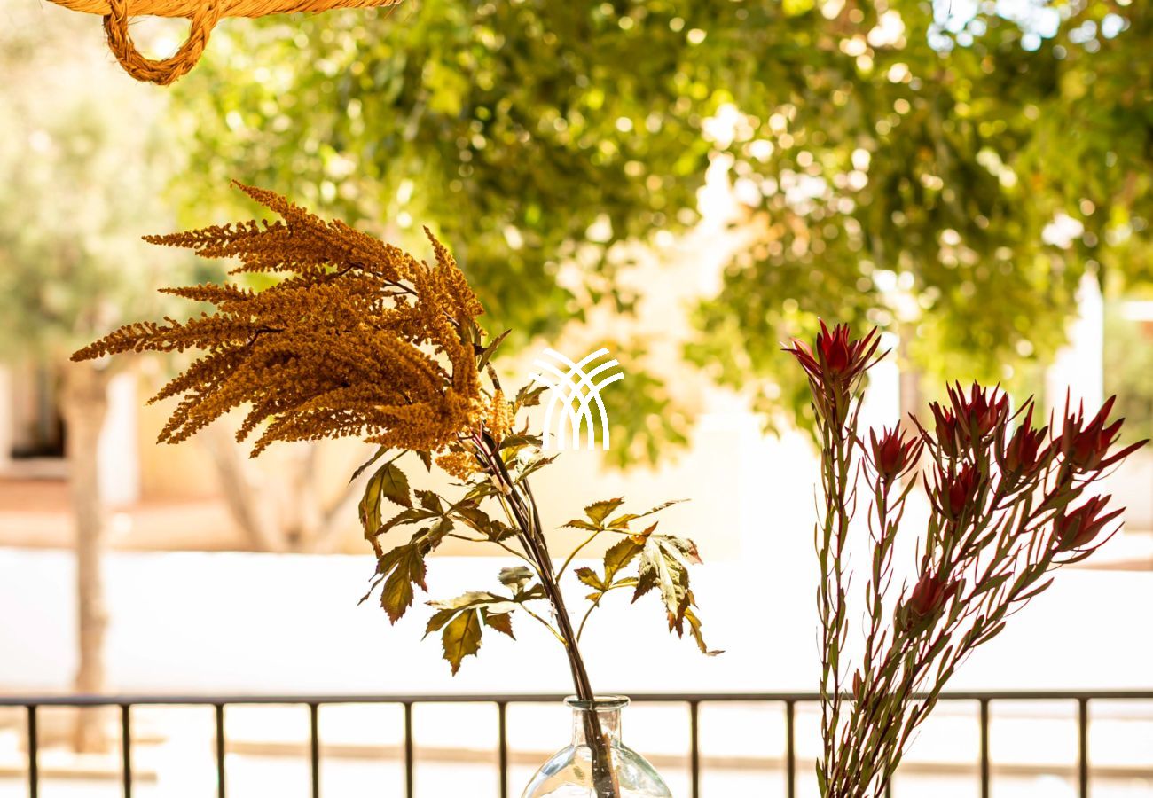 Villa in Formentera - Can Noves